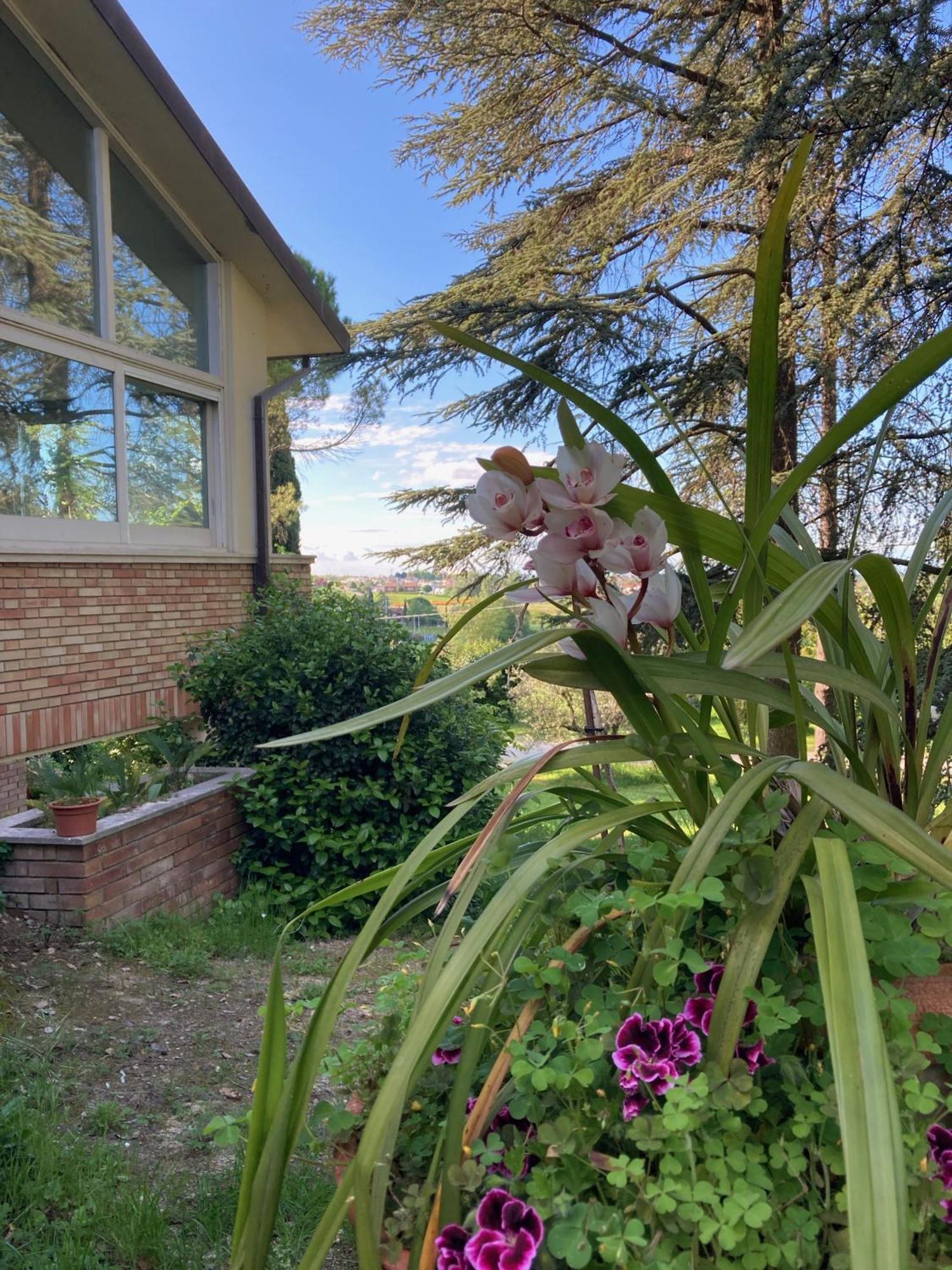 B&B Mama Ro Cesena Luaran gambar